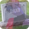 @ma GAY