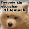 Después de escuchar Al temach