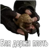 Бля держи плоть