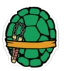 Teenage mutant ninja turtles 9