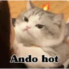 Ando hot