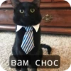 | Memes edition 13