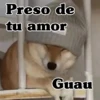 Preso de tu amor Guau