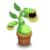 My Singing Monsters 20
