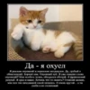 Да — я охуел