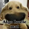 Algo huele mal