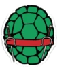 Teenage mutant ninja turtles 15