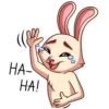 Gentle Rabbit 16