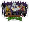Teenage mutant ninja turtles 17