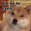 Ya ni te creo