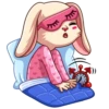 Gentle Rabbit 18