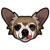 Gizmo 5