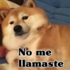 No me llamaste