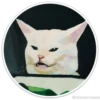 Círculos con gatos 28