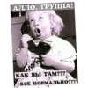АЛЛО, ГРУППА! КАК ВЫ ТАМ??? ВСЁ НОРМАЛЬНО???