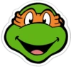 Teenage mutant ninja turtles 22