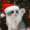 NEWYEAR_CATS 2
