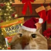 NEWYEAR_CATS 3