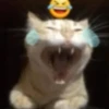 Fucking kity 2