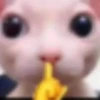 Fucking kity 3