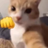 Fucking kity 10