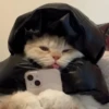Cãtš 11