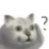 Fucking kity 11