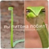 Oh tamam  | via sticked.app 15
