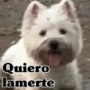🧿Memes pop 3😎👌🏻 12