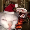 NEWYEAR_CATS 12