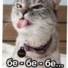 Oh tamam  | via sticked.app 16