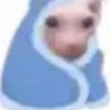 Fucking kity 17