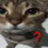 Fucking kity 19