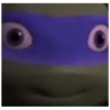 Tartarugas Ninja 13