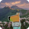 Chill guy | 19