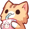 kitty~~ 18