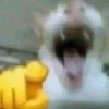 Fucking kity 21