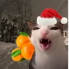 NEWYEAR_CATS 15