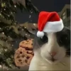 NEWYEAR_CATS 17