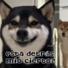 🧿Memes pop 3😎👌🏻 28