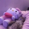 Cãtš 27