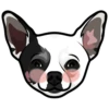 Snoop 5