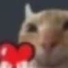 Fucking kity 29