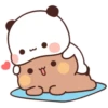 Panda Bear 29