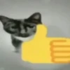 Fucking kity 30