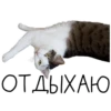 Лента Добра х Vetland Adoption (@dobrayalenta ) 6