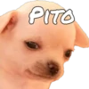 PITO