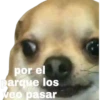 devuelveme a mi chica stickers 5