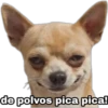 devuelveme a mi chica stickers 6