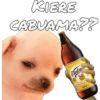KIERE
CABUAMA??
Victori
VECERIA MOR
CONT NET 1,21